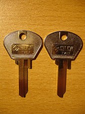 2 Schlüsselrohlinge /