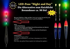 ☀️☀️☀️☀️☀️