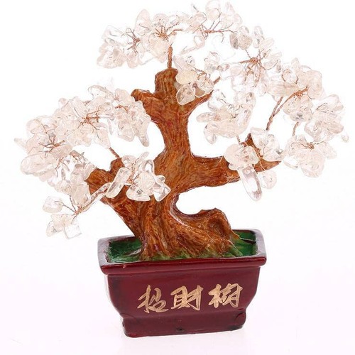 Feng shui baum - shui, weißem