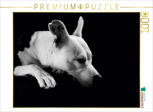 Calvendo puzzle cheyenne - calvendo,