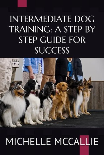 Intermediate dog training - intermediate,