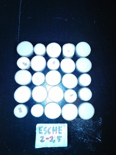 Baumscheiben esche 2 - 25,