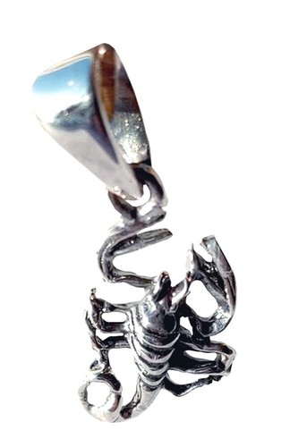 Silber anhänger skorpion - silber,