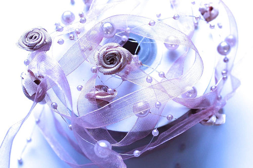 10m trendyband rosen organza - 10m,