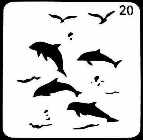 Delfin delphin möwe meer - delfin,