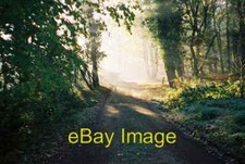 Photo 6x4 Star Lane, Warren