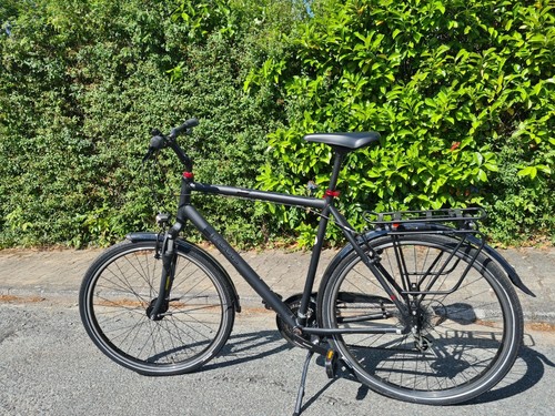 Schönes pegasus fahrrad - schönes, zu