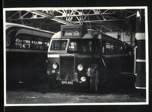 Fotografie bus leyland - fotografie,