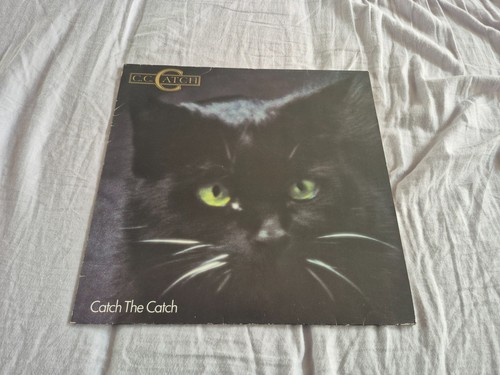 Catch the cat - cat,