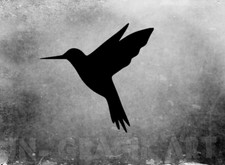 Kolibri Vogel bird  Aufkleber Car Auto Sticker Tuning JDM Decal Bike Animal 