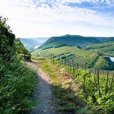 Top Angebot 8 Tage Urlaub Löf an der Mosel | Weinberge & Kultur | 3*S Hotel 2P