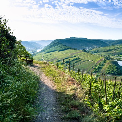 Top angebot tage urlaub - 8,