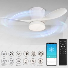 65W Deckenventilator