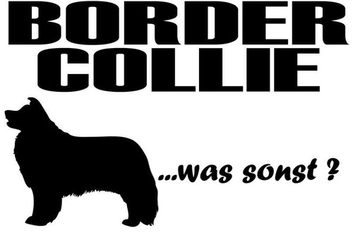 Aufkleber border collie - border,
