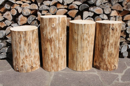 Xxl baumstamm holzstamm 42 - holzstamm, #