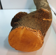 1 Stamm Drechselholz Buchsbaum