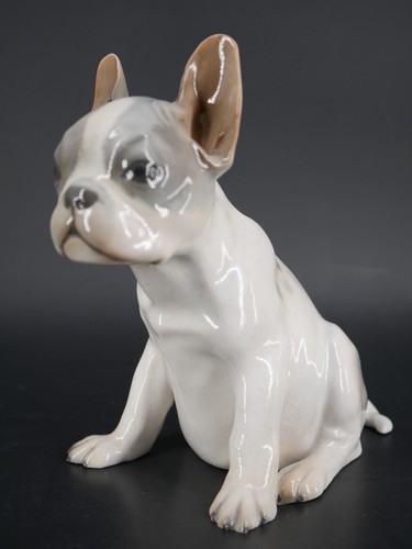 Hund dog französische - dog,