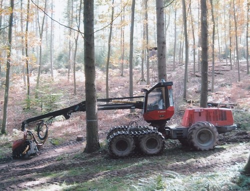 Holz vollernter foto 10er - im,