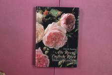 418026 David Austin ALTE ROSEN