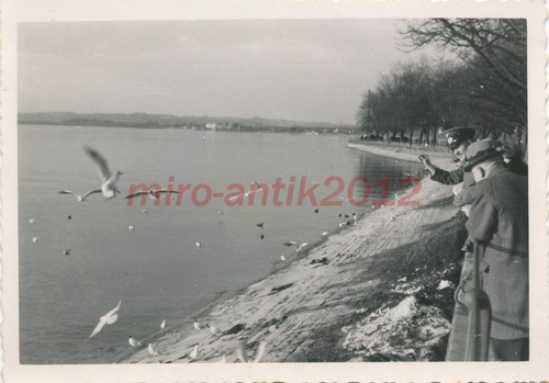 Foto wehrmacht nskk - wehrmacht,,