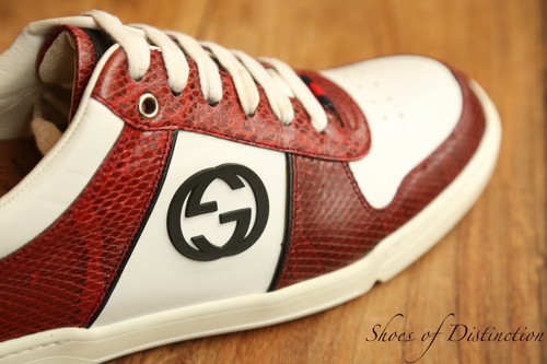 Gucci ace rot - ace, gg