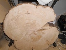 Baumscheibe  Buche 68 x 68 x