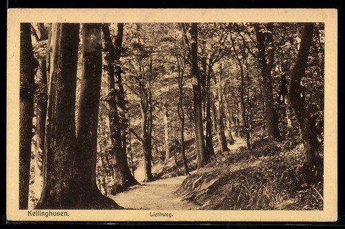 Kellinghusen liethweg - kellinghusen,,