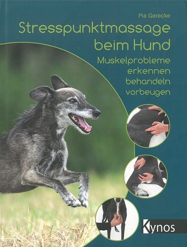Stresspunktmassage beim hund - beim,