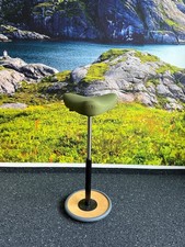 Varier Move Kids Sitz-Steh