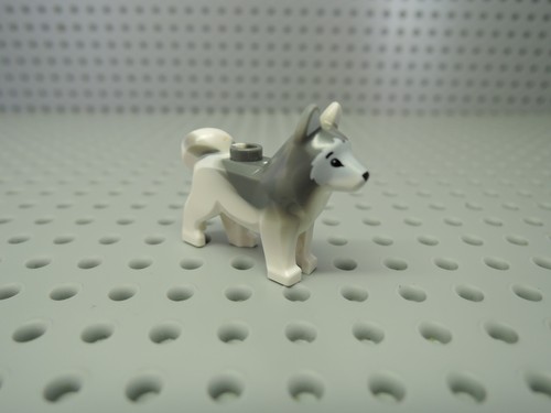 Lego hund schlittenhund - hund,