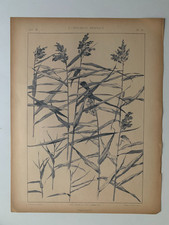 J.HABERT-DYS CHROMOLITHOGRAPHY