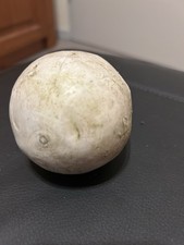 Pferde Polo Ball Gebraucht zu Verkaufen Pferd Pferd Rennen Mit Gebrauchsspuren