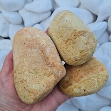 Gelb Kiesel Flusskiesel Kieselsteine Gartenkies Zierkies Sandstein 6-10cm 20kg