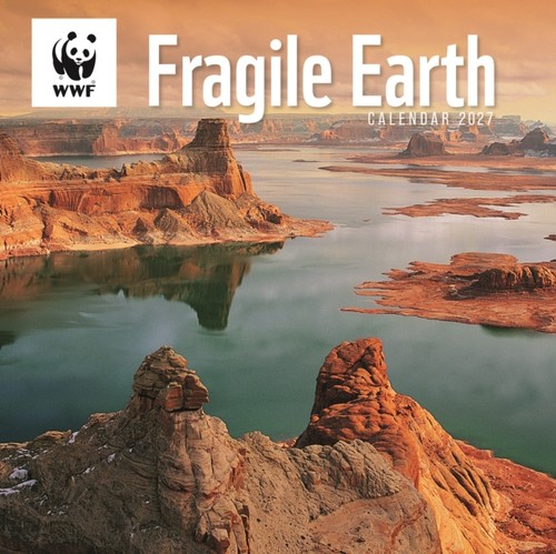 Wwf fragile earth wall - fragile,
