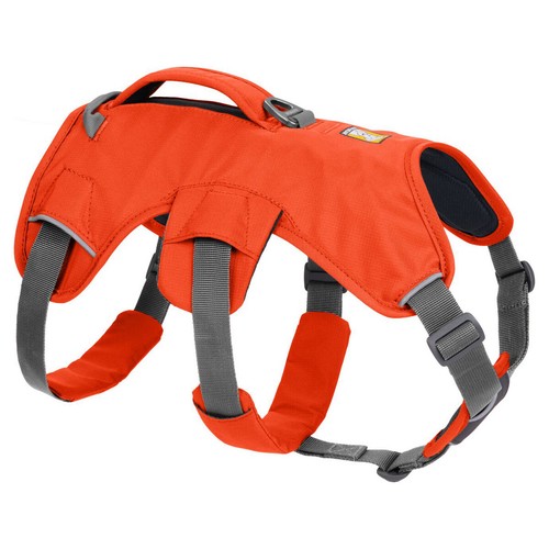 Ruffwear web master - ruffwear,