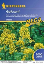 Gelbsenf Gründünger 2kg