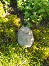 Hexen Maske aus frostsicheren unverwüstlichen Beton als Deko für den Garten