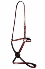 Euroriding Reithalfter