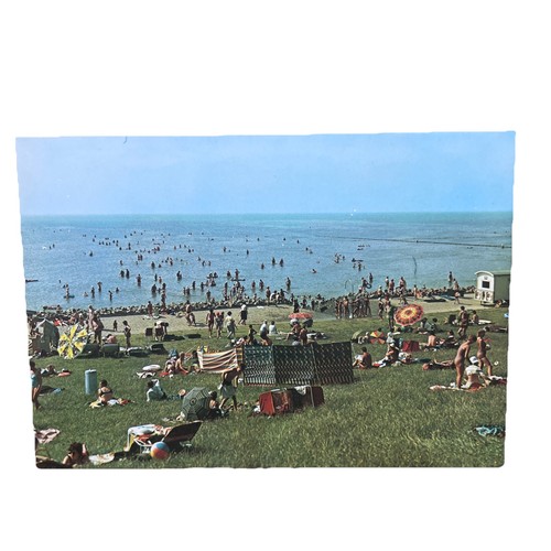 Postkarte friedrichskoog - postkarte,