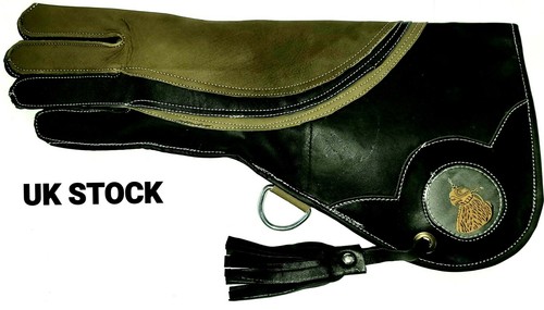 Adler und falknerei handschuh - und,