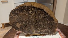 Tischuhr, Fossiliem Holz