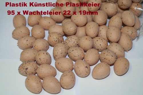 Wachteleier x 19mm - wachteleier,