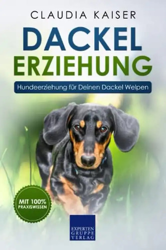 Dackel erziehung - dackel,