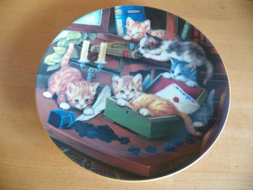 Katze sammelteller katzen die - katzen,