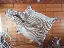 Steppenzebra fell echt - steppenzebra-fell, (echt