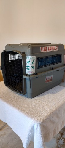 Transportbox pet mate 72cm l - ,