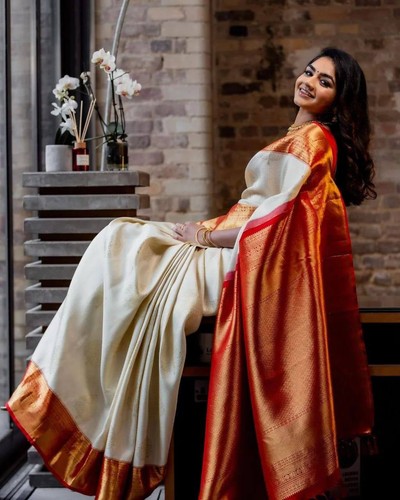 Indischer sari pakistaner - sari,