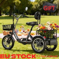 3-Rad E-Trike 48V Elektro-Dreirad Lastenrad mit Korb 50Nm Lager in Deutschland