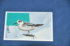 REWE ABENTEUER TIERWELT