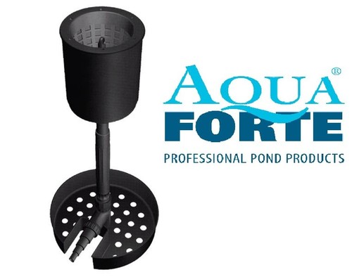 AquaForte